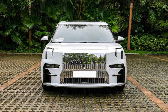 Medium Large MPV Electric Car 5 Doors Dual Motor 6 Seater EV Car ZEEKR 009