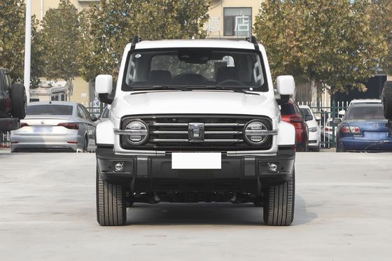  300 5-Door Fuel Powered Car Width 1930mm